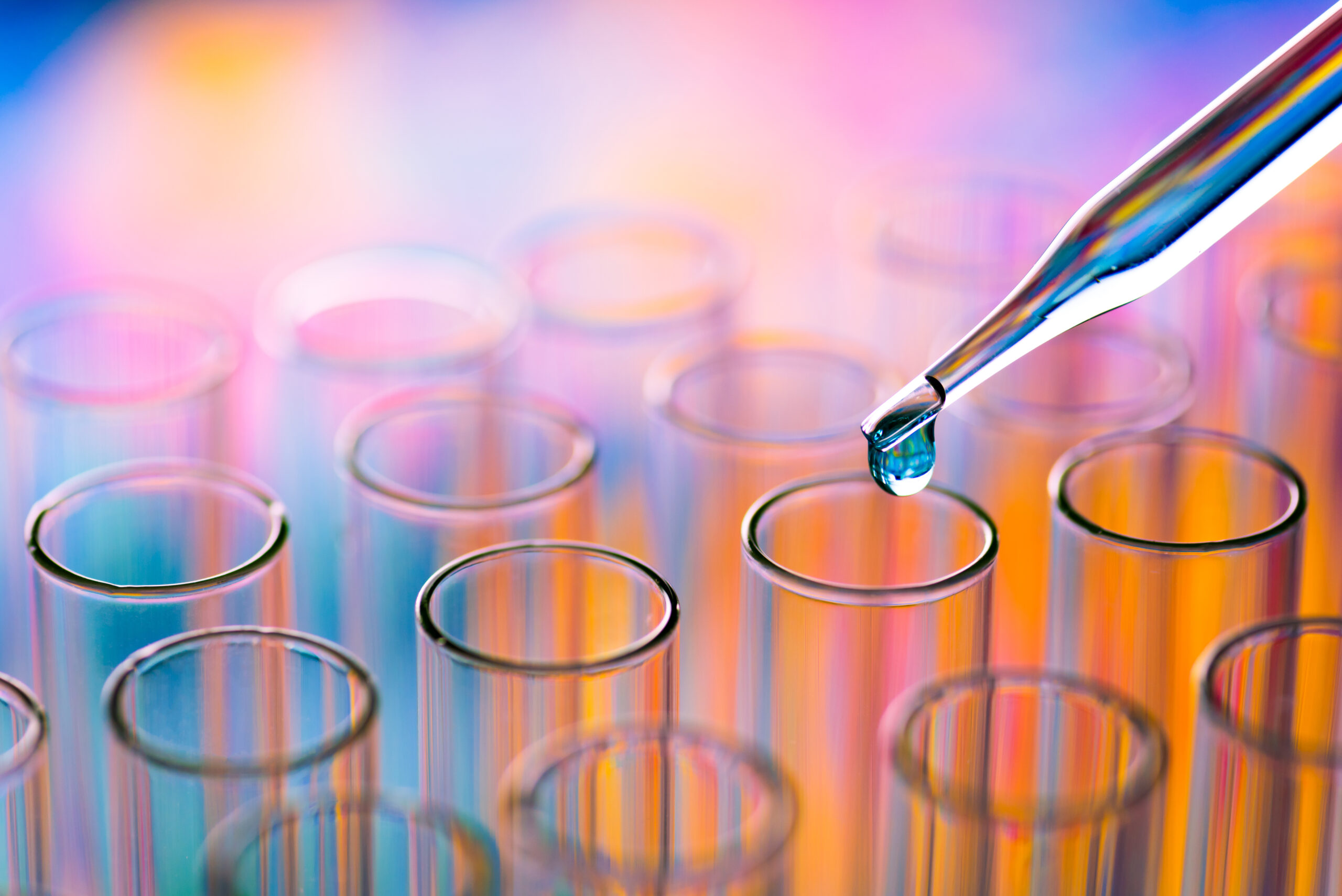 Site Header Image
