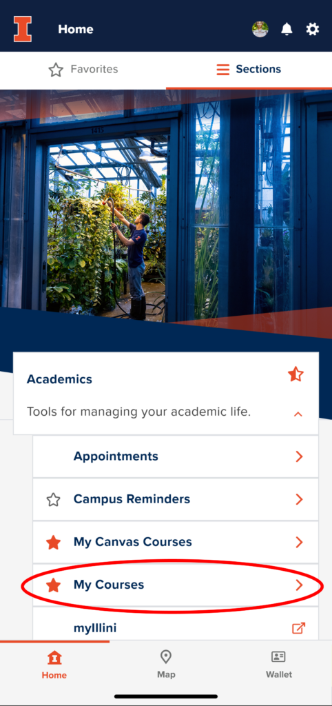 Shows a screenshot of the Illinois App for how to navigate to Sections, Academics, then "My Courses"